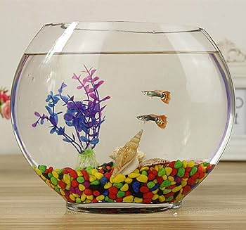 【専用ページ】金魚　亀　花ボタン 専用ページ】金魚 亀 花ボタン 専用ページ】金魚 亀 花ボタン
